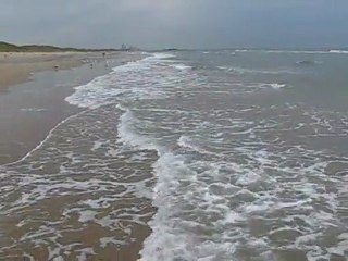 Two Trees-South by Sail de Michael et Jeff Danna