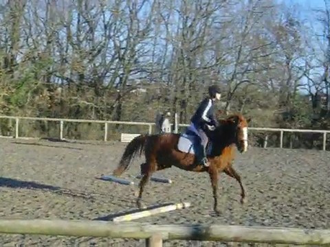 la reprise du 2e cours au cheval