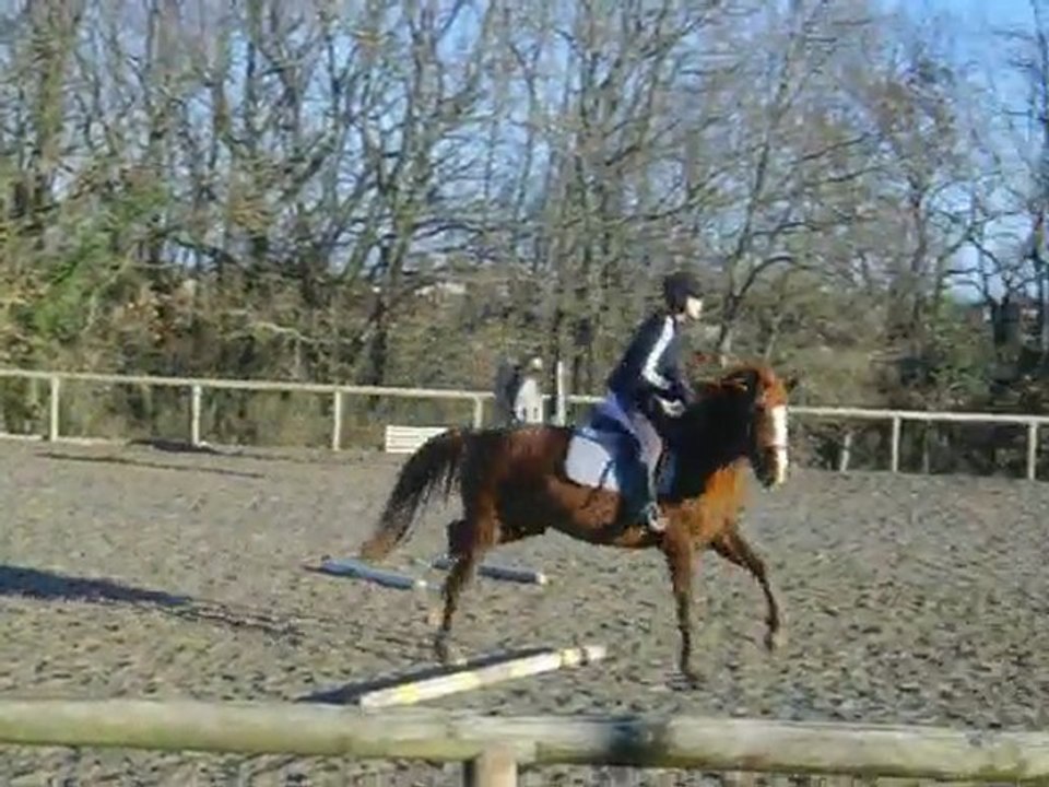 la reprise du 2e cours au cheval