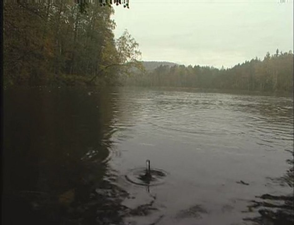 Légendes ....( 2006 )