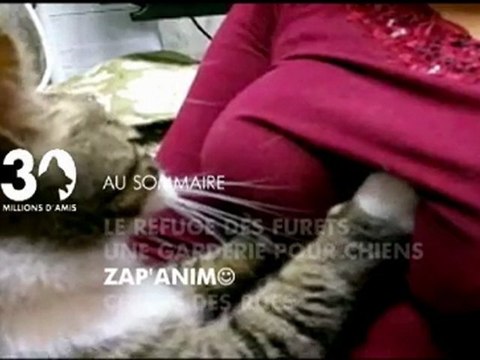 Sommaire émission 30 Millions d'Amis du 07 03 10