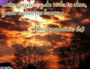 43.(rompe  las  cadenas(ricardo montaner)
