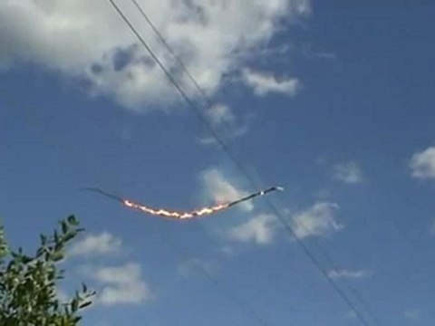 Une branche d’arbre sur des fils électriques