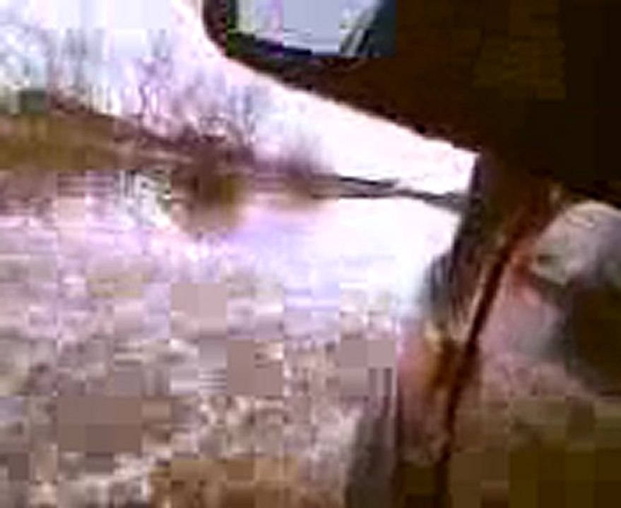 Vídeo003
