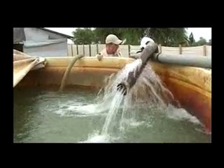 Les oubliés de Dogdoré