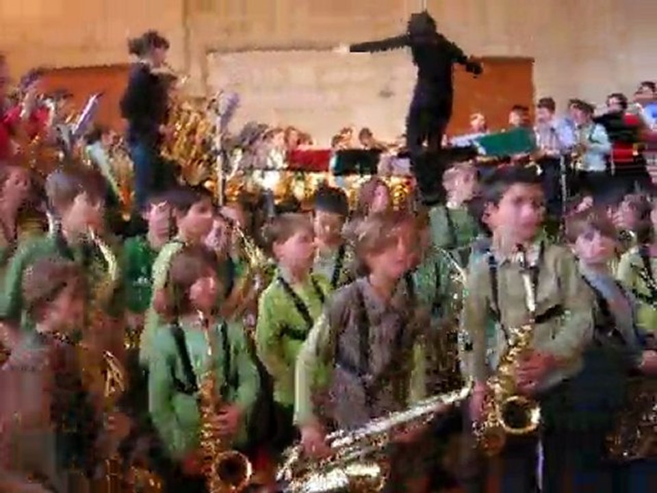 vir saxo