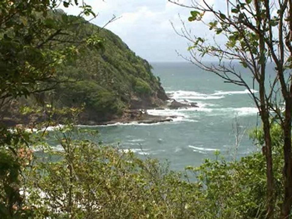 The Waitukubuli National Trail in Dominica
