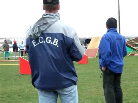 Blinnis - 1er concours - 1er degré - SAINTES - mars 2009