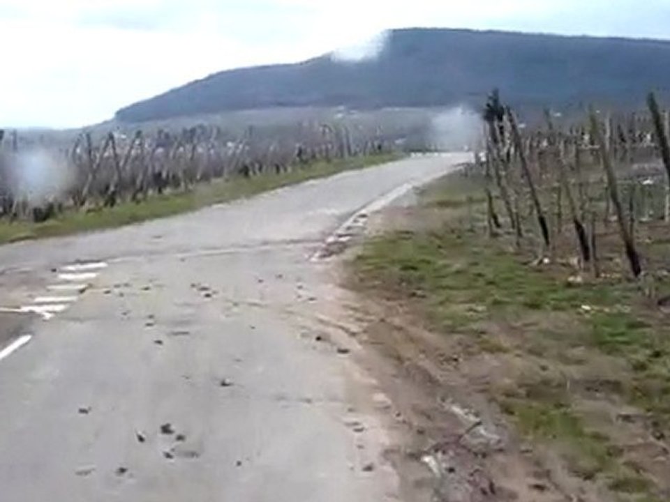 Promenons-nous dans les vignes