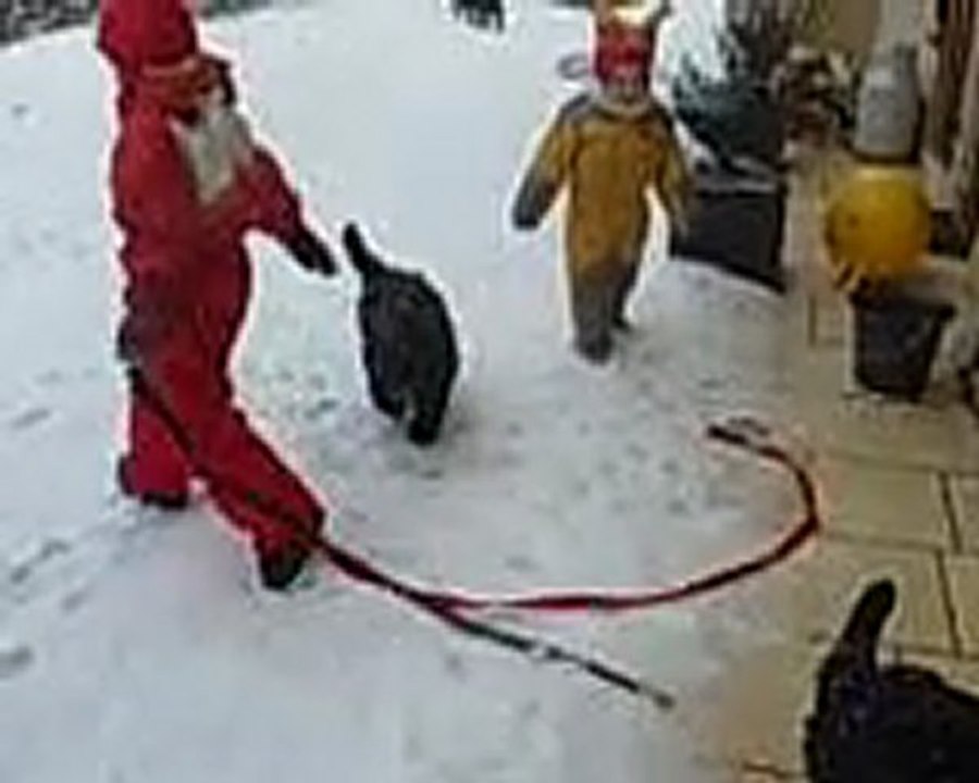 CHIOTS DECEMBRE 2009