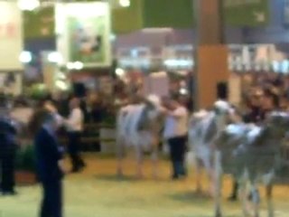 salon de l'agriculture 2010