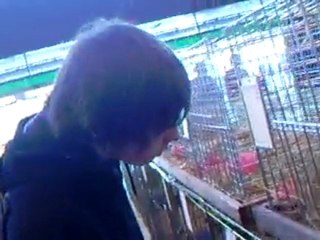 salon de l'agriculture 2010