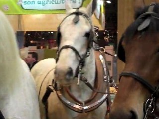 D. Percheron et B. Derosier au Salon de l'agriculture