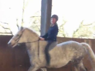 juju et maestro galop