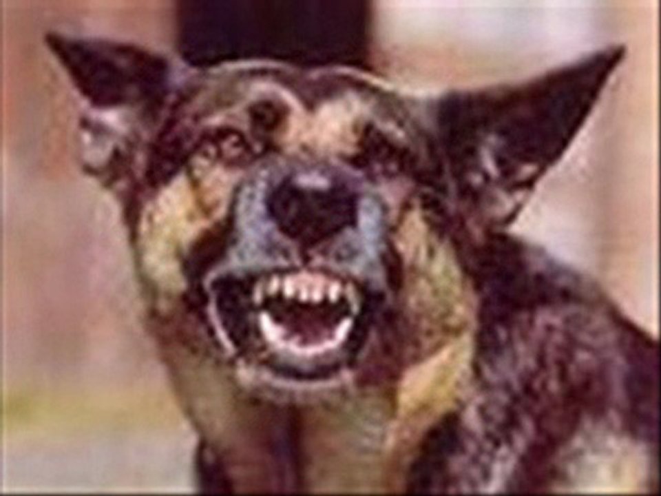 iSmoaZabia  Dis  Dersi 49MuSs