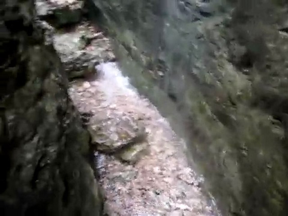 MVI_3172
