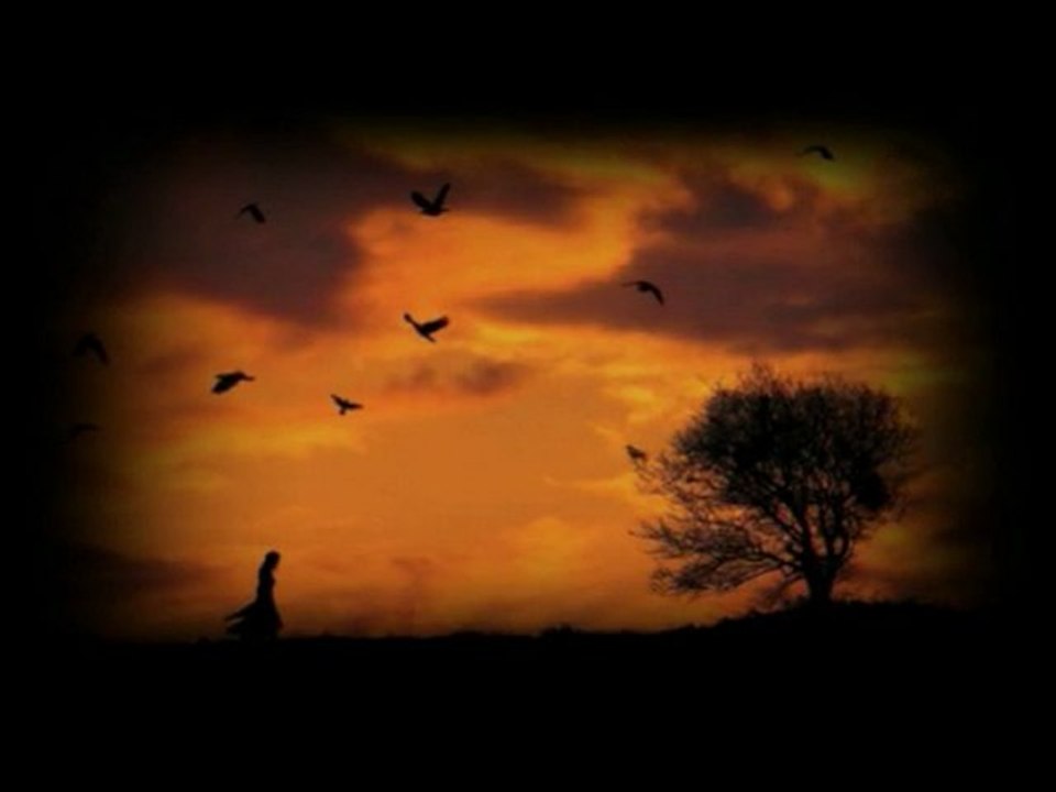 Kayıp bir kadın-Bir Ali ihsan Konuklu Şiiri