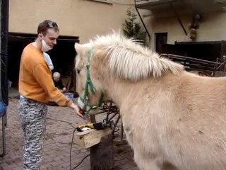 Caramel aime les madeleines ??