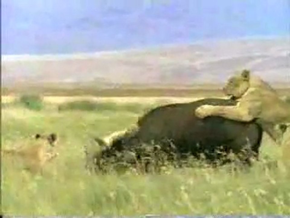 اصطياد بشع