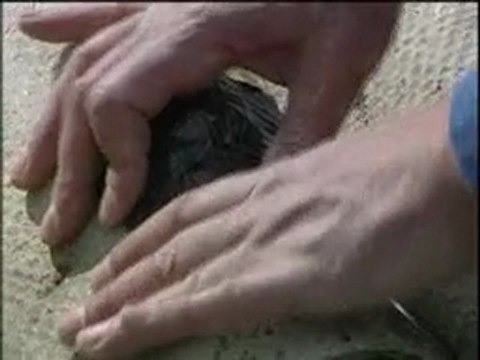 Utilisation du produit KIT D'URGENCE