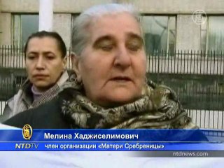 Экс-лидер боснийских сербов защищает себя сам