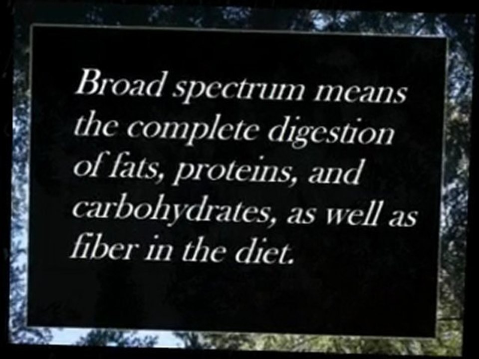 Digestion Problems by Dr. Tim O'Shea