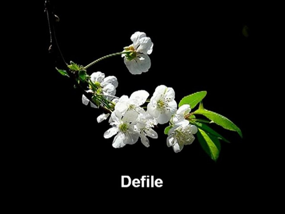 Defile