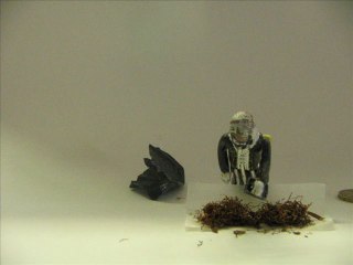 Smiley vs Narniania "Fumer tue"