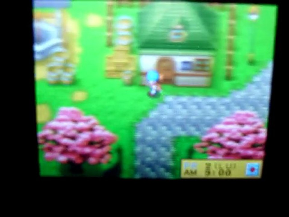 harvest moon ds lutins rapides