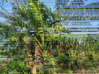 Luxusvilla in Denia mit Pool & großem Grundstück