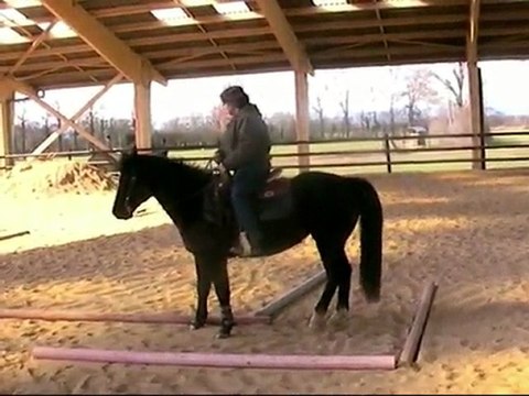 Marion&Chexy trail concours d'entrainement Guerreiro stables