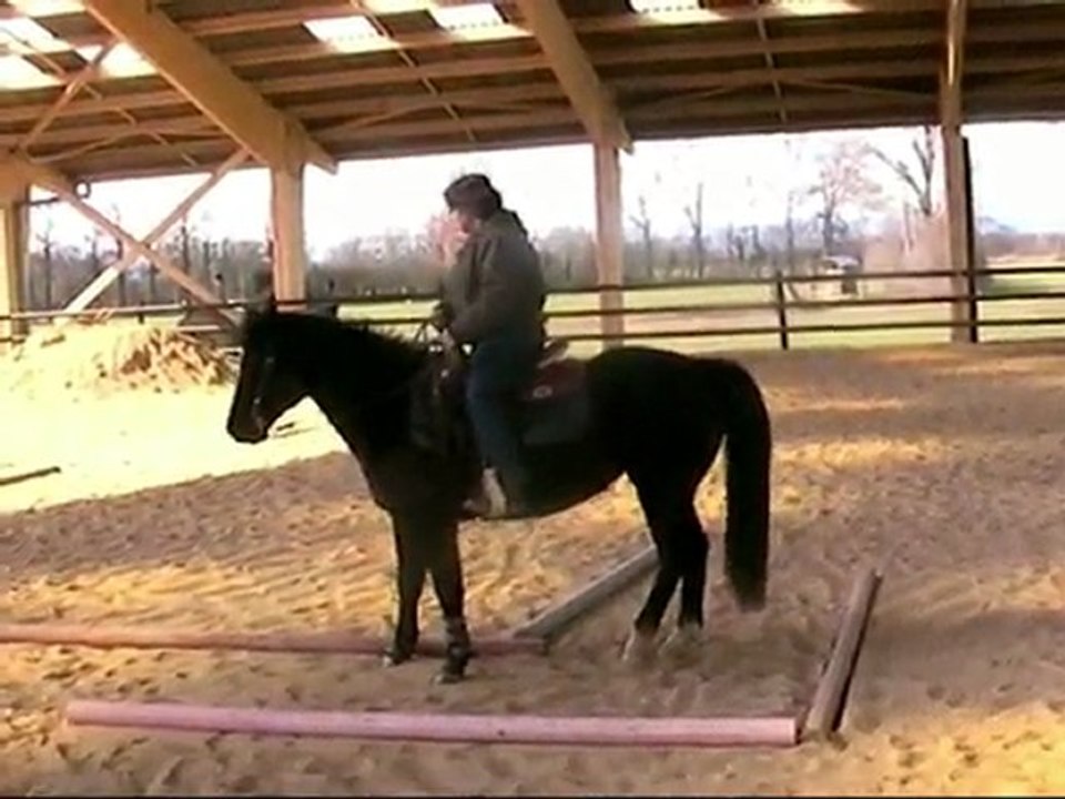Marion&Chexy trail concours d'entrainement Guerreiro stables