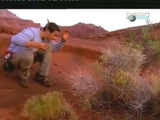 Face à la la nature - Le Désert Moab 3/3