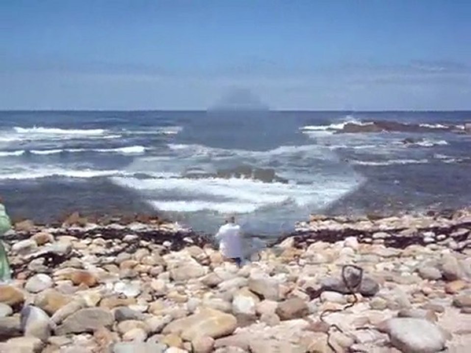 vidéo Cap point autruches et pingouins_0001