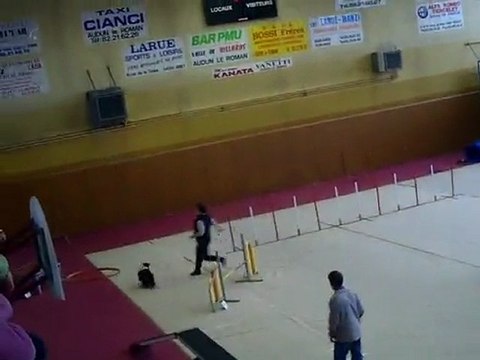 Concours agility Audun le roman Degré Viking