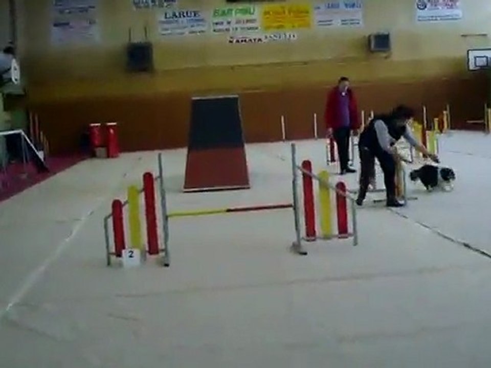 Concours agility Audun le Roman GPF Viking