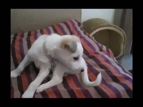 Jeux de mains jeux de vilains