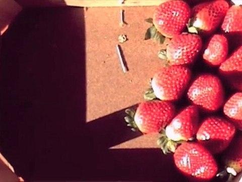 WHY WE ARE BEAUTY BY CURRY & COCO - 04/10