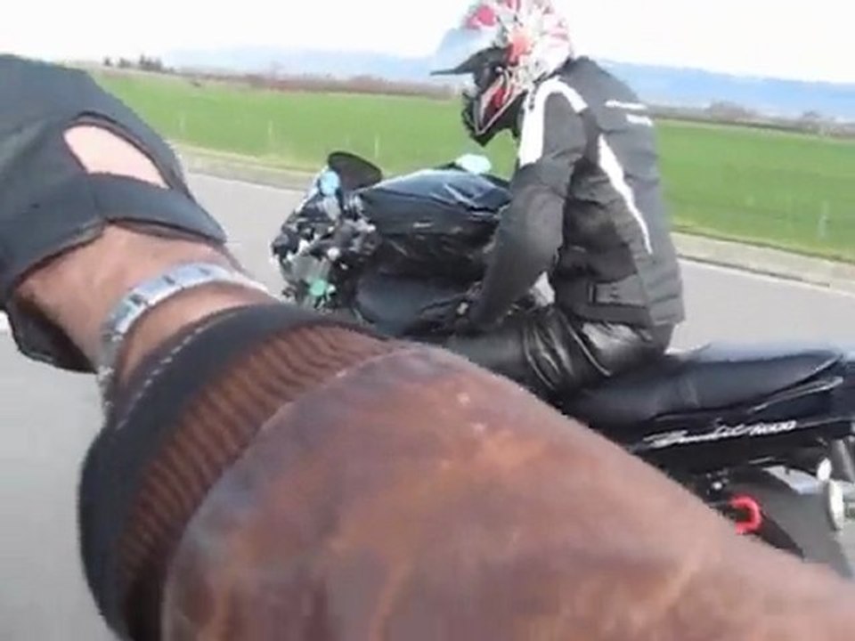 Lucky et Tony (Lucky le Biker).