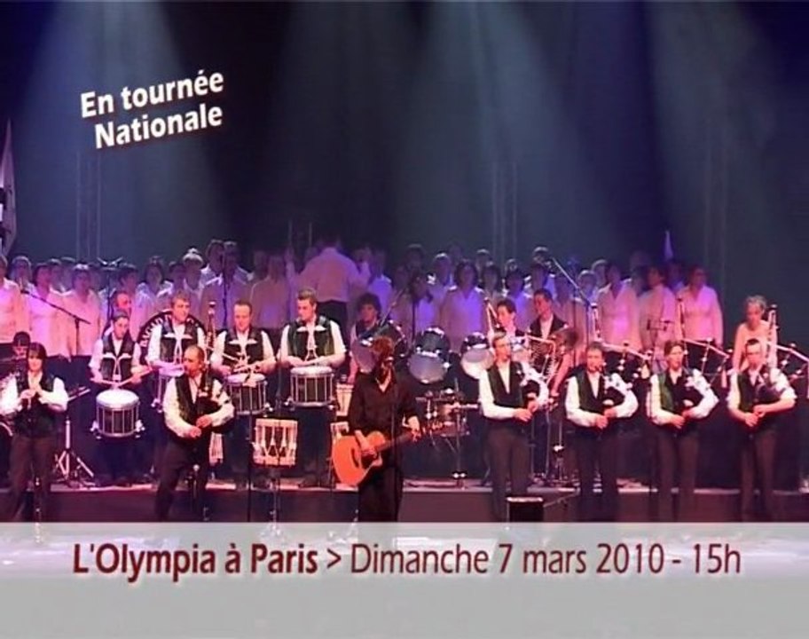 Fête de la St Patrick 2010