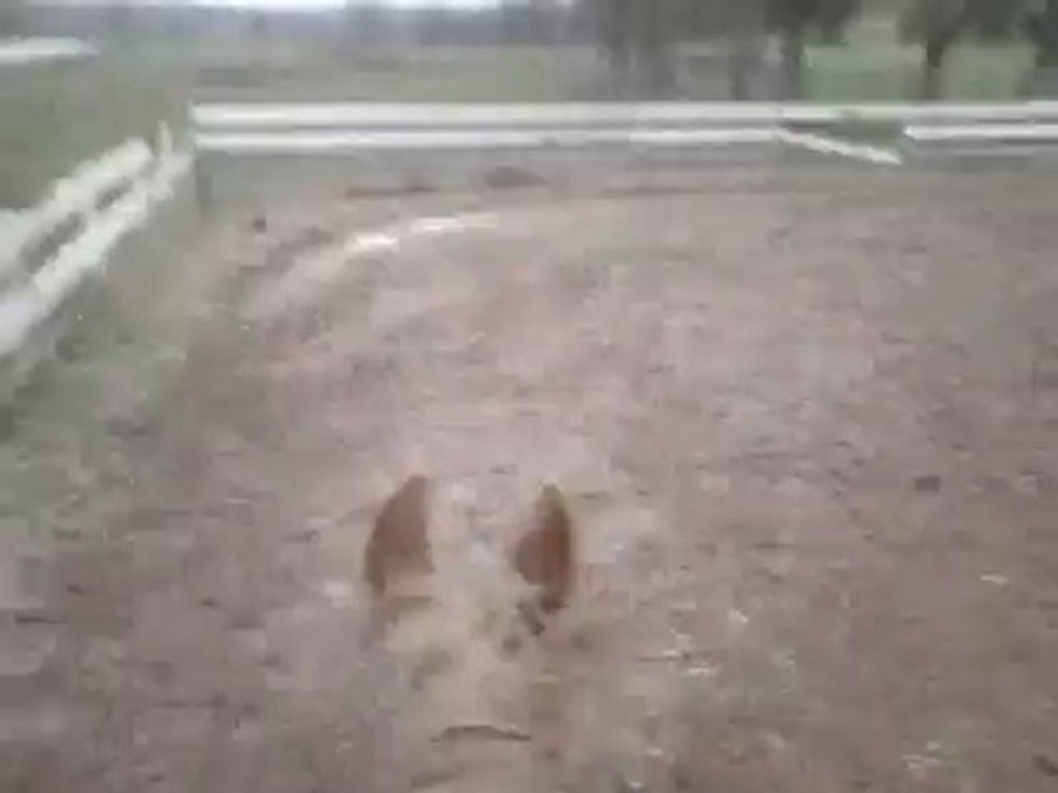 MOV00053