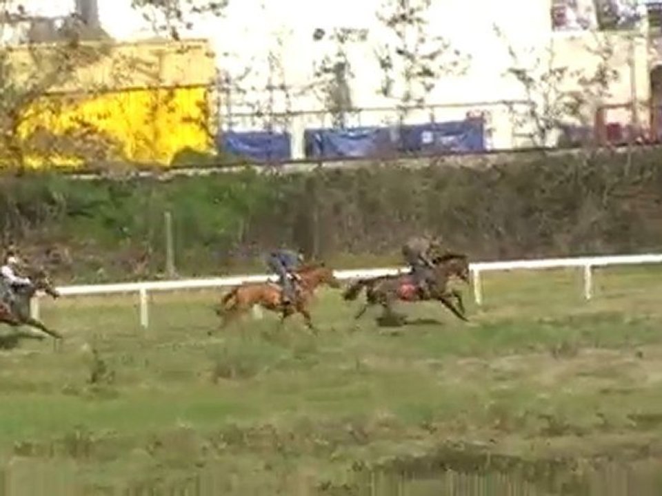Galop Tigador .