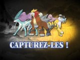 Trailer Pokémon Or HeartGold - Argent SoulSilver (FRENCH)