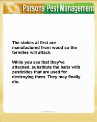The Way To Kill Termites Effectively, So They Do not ...