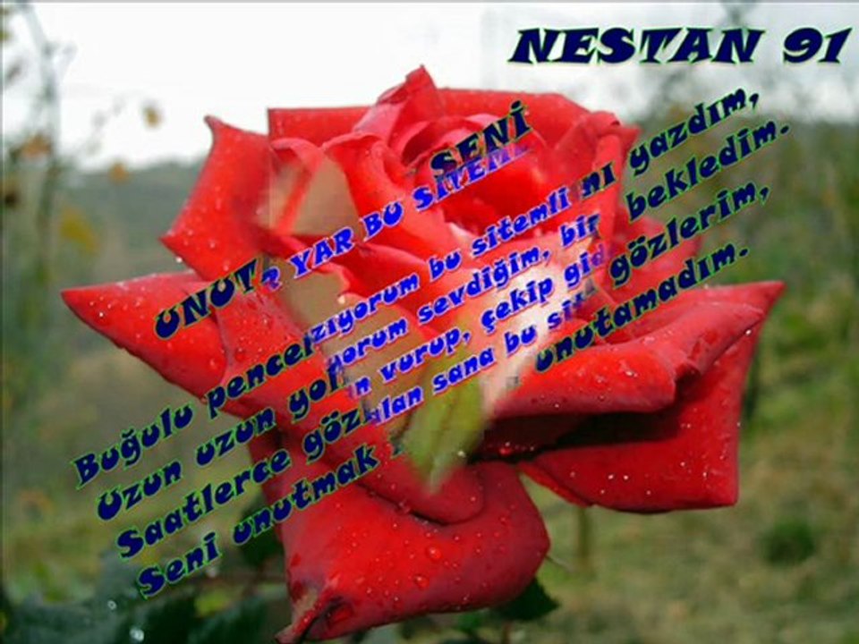 NESTAN 91