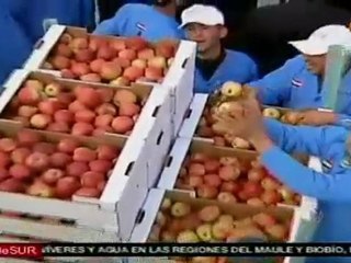 Población del Golán resiste a la ocupación israelí