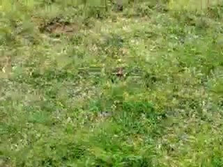 mouton et laura au radar