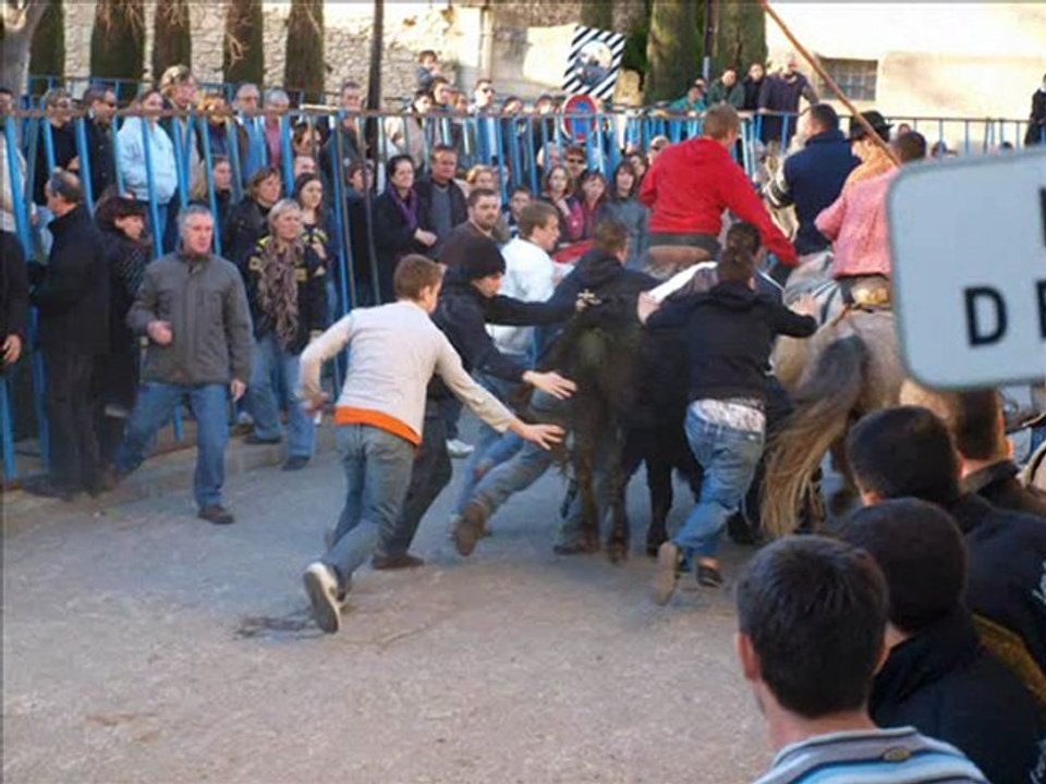 entrainement abrivado/bandido