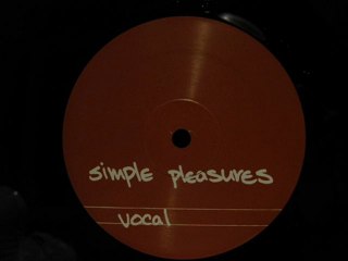 Bjork. Simple Pleasures.