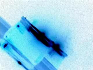 Reflet de mon époque